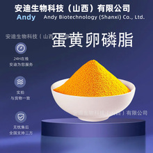 蛋黄卵磷脂35规格93685-90-6 磷脂酰胆碱现货批发A级500克/袋