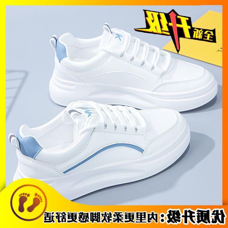 블루 업그레이드 버전