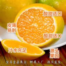 新鲜橙子直播团购渠道代发源头产区水果工厂全年批发电商果邮政