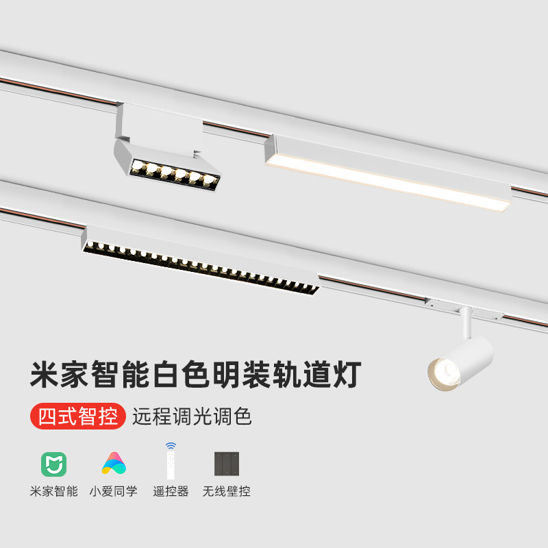 Ultra thin mounted white spot lighting railed