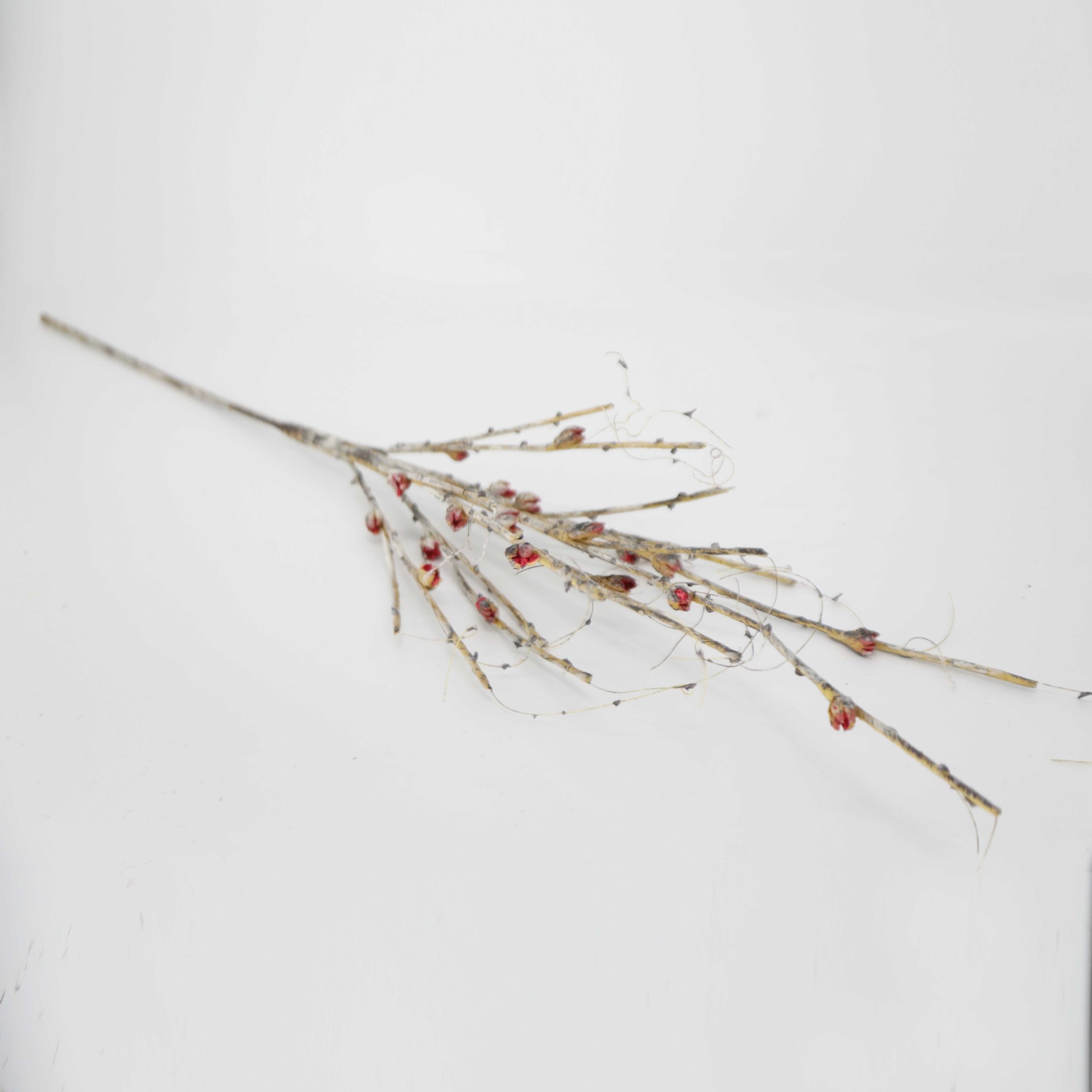 Flor de EVA PE falso patrón de decoración floral floral suelo floral flor seca floral suave floral espuma flor fotografía de boda