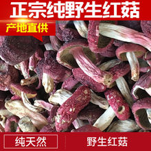 新货野生红菇正宗野生菌福建特产红蘑菇干货红菌香菇武夷山红菇干