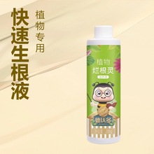 烂根灵植物生根液树木移栽扦插强力快速生根粉绿植花卉通用生长剂