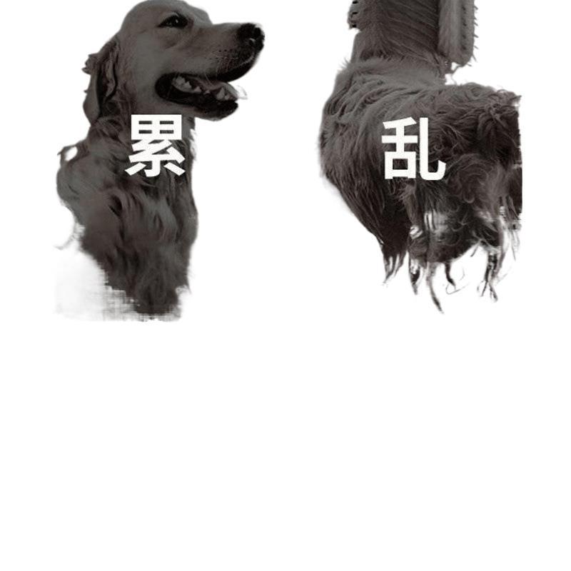 宠物吹风拉毛狗狗速干一体蓬松吹风机梳毛器猫咪洗澡吹干|undefined