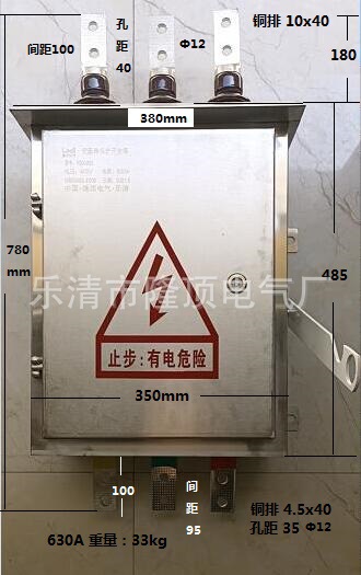 隆顶电气  江苏 安徽电力局不锈钢负荷开关箱  变压器保护开关箱