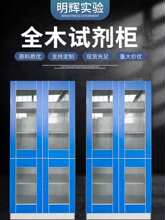 药品柜.试剂柜.柜.仪器柜.器皿柜.实验室玻璃器皿柜.耐酸碱柜