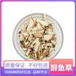 醉鱼草 中药材 痒见消 钱线尾 闹鱼草 鱼尾草 支持药检 代磨粉