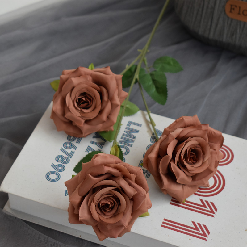 다이아몬드 로즈 캐러멜 컬러