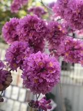 �����ϻ��L⏘���ͥԺС�^�L���^�p��޽Ӷ໨�����ϻ��L�ľ��