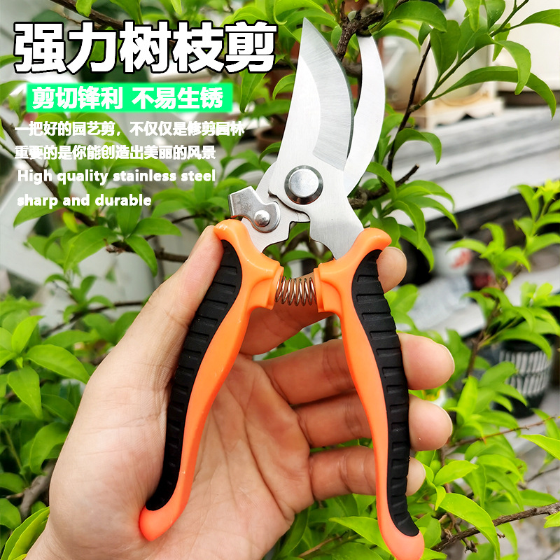 不锈钢园林园艺多功能果枝剪摘果剪花园剪刀户外盘景工具