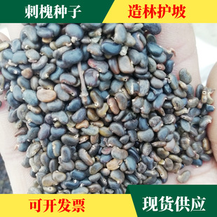 �̻��N�� ����N�� �󻱘��� �̃��� �׻��̻��㻨���o�»�ɽ�Nֲ