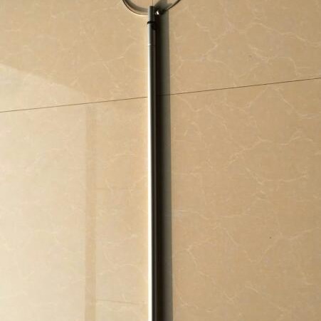 厂家现发铝合金带钢圈伸缩救生杆便携折叠式不锈钢游泳池打捞杆钩