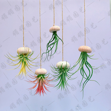 �҃ȑ��˾Gֲ�����o���̨�ڒ쇊ˮ����ֲ�ﺣđ���B�՚��P���ļ�