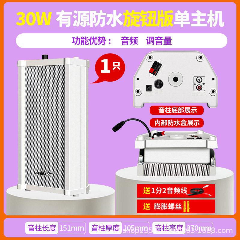 Xianke ST501 columna de sonido activo Bluetooth de audio al aire libre impermeable al aire libre comercial montado en la pared altavoz de difusión