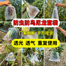 ˮ���״�͸����K���B���x���t��â�����ù��������O�����˲�ݮ