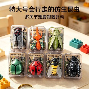 �羳�����Ƀ�ͯ���x�l�l�����朼ך��xģ������֪�����x�������