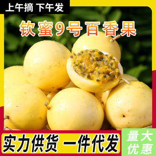 �V���J��9̖�S���������rˮ�����������������]���l5��