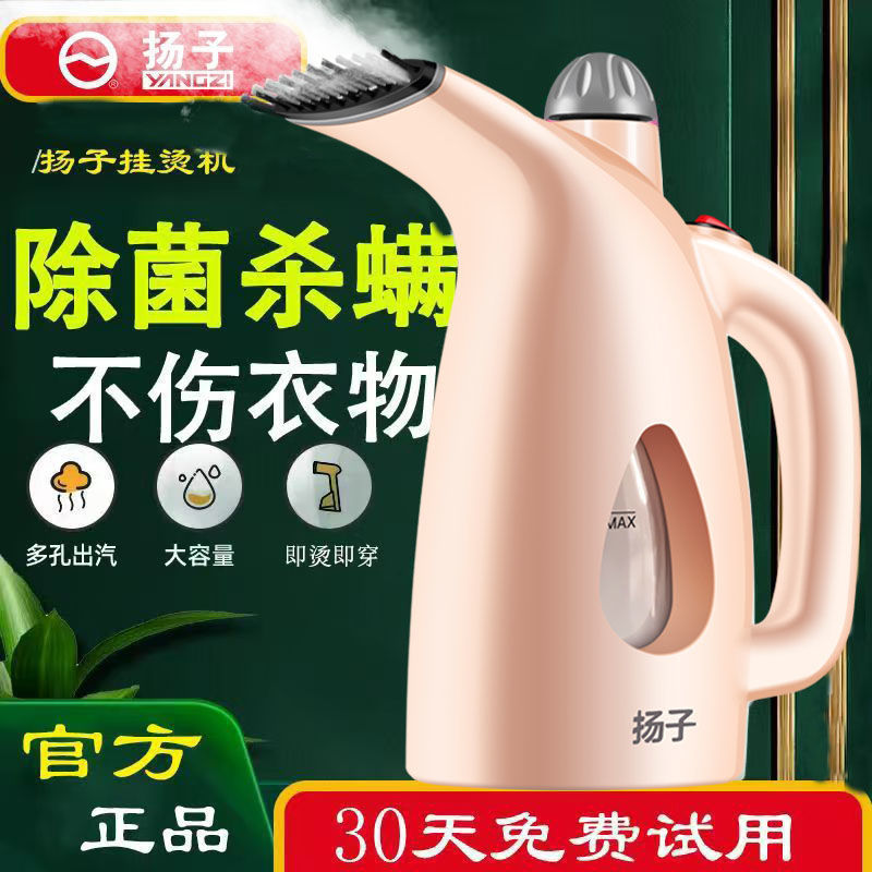 Handheld Garment Ironing Machine Household Steam Iron Clothes Ironing Machine Small Portable Mini Ironing Machine Iron