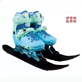 冰鞋;轮滑、速滑;其他专用汽车