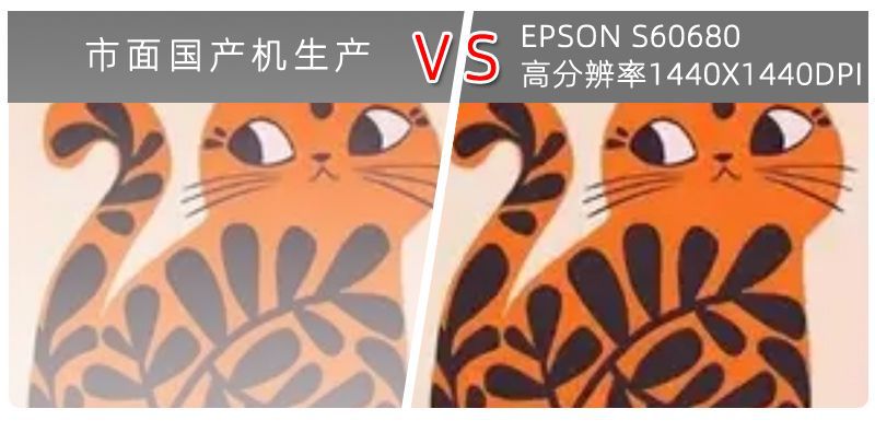 波西米亚猫 (12).jpg