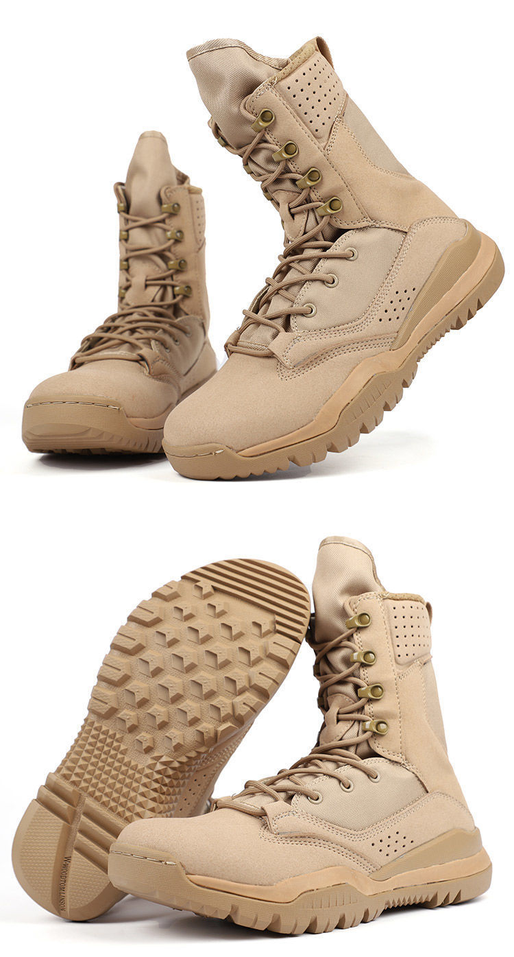 1b775512-6a90-4c25-adcf-de19f6b0bf15.jpe