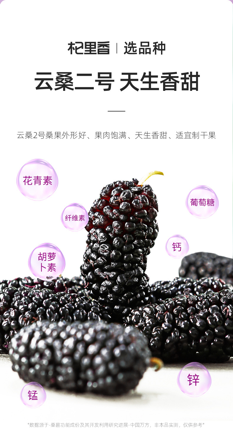 Dried Mulberry Fruit 60g Bag Sang Shen Dried Black Mulberry for Tea and Wine Soaking quality and texture