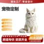 拼装定制源头收藏积木