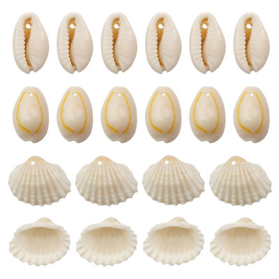 30pcs Natural conch shells 16 mm to 18 mm double holes punched shell plating teeth bei shoes hats accessories