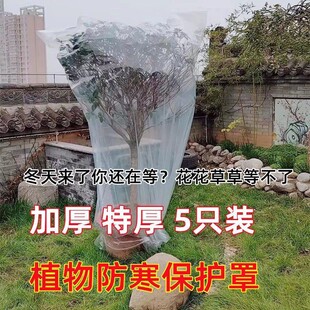 Plant Anti-freezing Insulation Bag Outdoor Green Plant Plastic Film Flower Potted Plant Protective Cover Transparent Anti-cold Bag for Trees