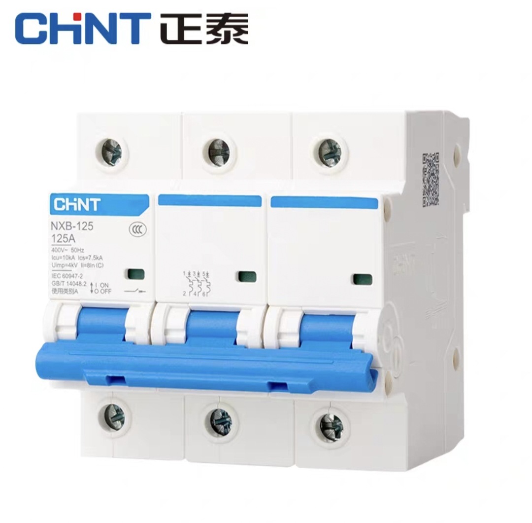 正泰小型断路器NXB-125 2P D125 空气开关 分段能力10KA