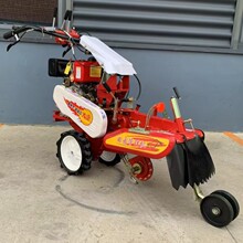 �๦����@����C �߲˻����_�������C ���[�󽪸�����¡�C�S��