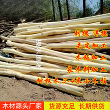 ��ľԭľ�̻�ԭľȥƤ���С��ľ�����������Θ����ľ���