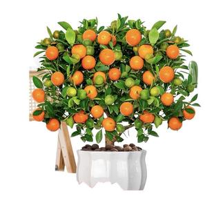 �ļ���ۘ������Ԏ���ֲ���҃Ⱥ��B���ܿ͏d����С���Ә���ؔ�辰