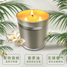 �羳�F؛��о���FͰ�o����Ϟ����˯���Ɍ��ە������é��Ϟ�T