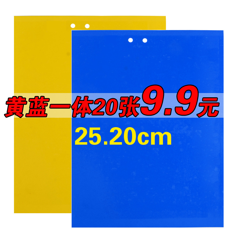 (혈액 손실 모멘텀) 노란색과 파란색 라미네이트 20장, 25X20, 8장만 남음