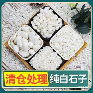 Small Pebbles, Small White Pebbles, Succulent Paving Stones, Flower-Raising Rain Flower Stones, Fish Tank Landscaping, Potted Plants, Courtyard Paving, Dropshipping