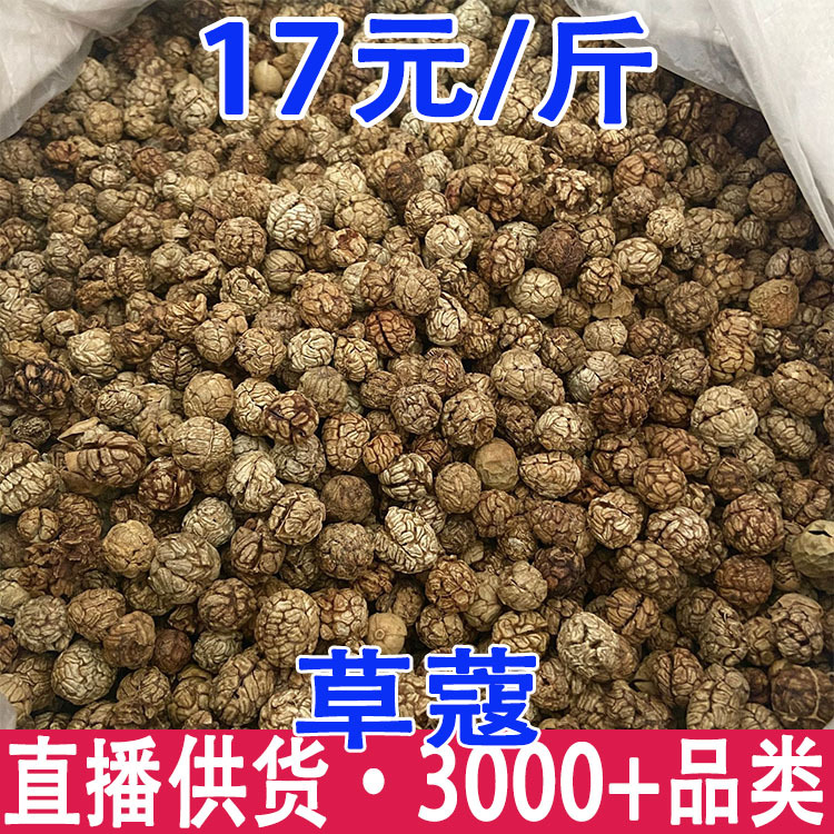 草蔻 草豆蔻 产地货源 量大从优