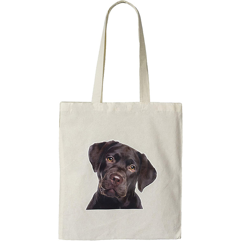 h2uVi/KmxdRY7tv/93jfTFsx3y7iJvmW/u3I