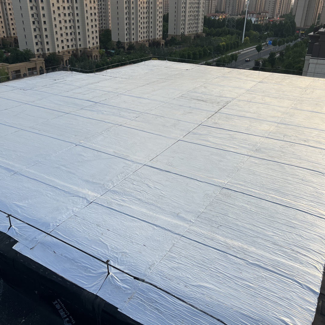 微信图片_20250310095329_副本