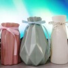 Nordic wind creative plastic vase new product PE vase office vase vase multiple multi -color dry vases