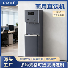 厂家商用直饮水机立式温热节能RO反渗透净水器不锈钢立式直饮机