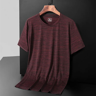 Cross-border Factory Exclusive Ice Silk T-shirt Men's Sports Short-sleeved Running Quick-drying Clothes Men's plus size Fitness Half-sleeved Top