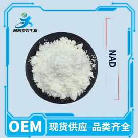 烟酰胺腺嘌呤二核苷酸98% NAD 高纯度原料粉 氧化型辅酶Ⅰ