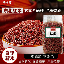 应季新米五谷杂粮红米红糙米粗粮主食煮饭粥