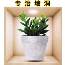 ins3d���w���N����ܰ����W�t������ճ�����b�Ʒ�����z�N��