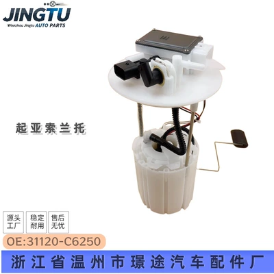 31120-C6250 96640-C5000 Fuel Pump Assembly for Kia Sorento