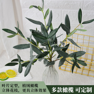 ���R�d����ֲ��W�t�ϙ��پGֲ���Ի��ı��W�҃ș����b����