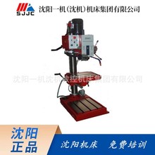供应Z5132 Z5140A方柱立式钻床 小型金属钻孔立式钻床