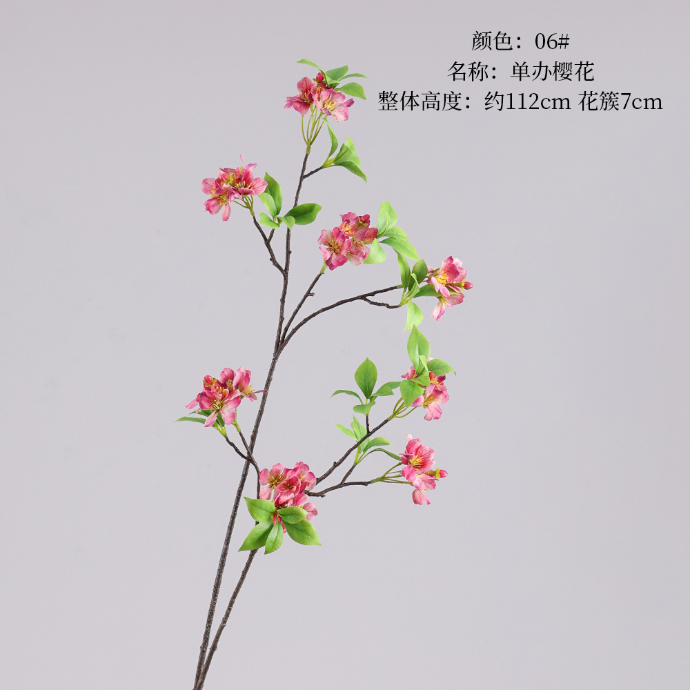 Single Sakura-06#