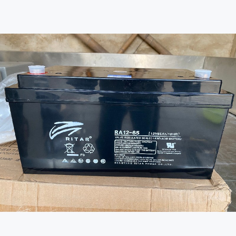 瑞达蓄电池RA12-65免维护/12V65AH阀控式 UPS直流屏 消防储能电源